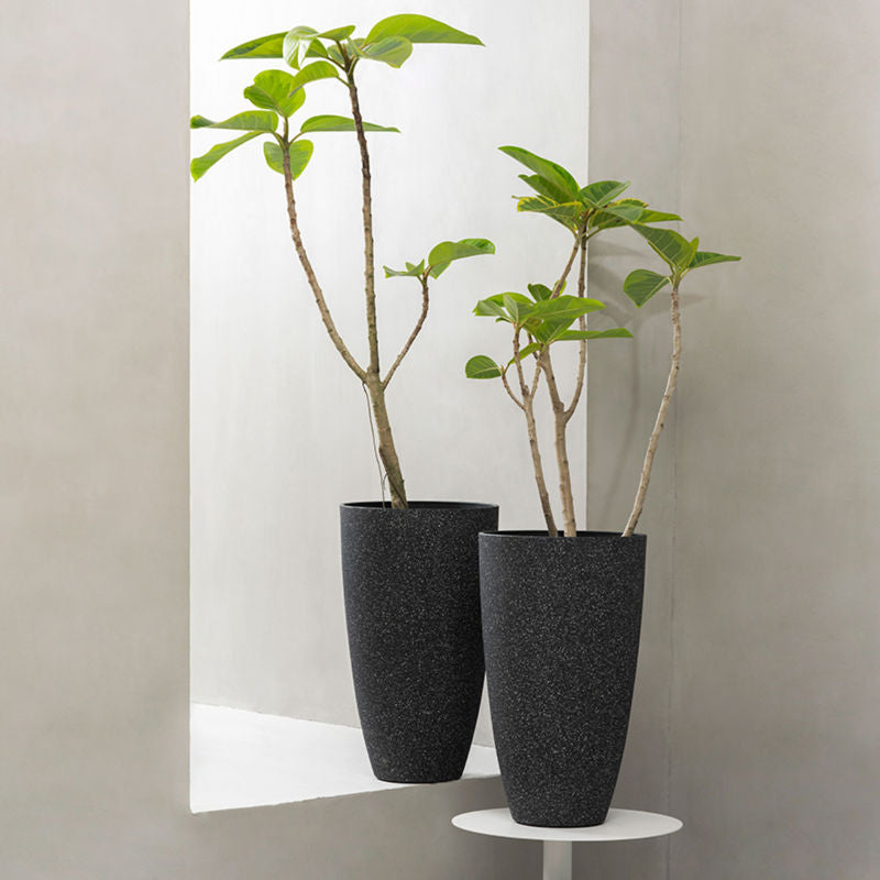 Two black tall planters are displayed in a white space, one on a platform and the other one is on a small table.