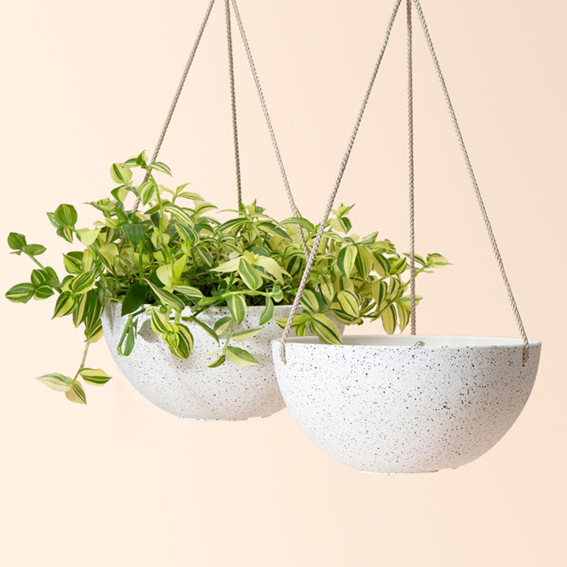 Two 10-inch white planters are hanging on the wall, one of the planters is displaying the green plants in it.