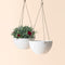 A set of two white hanging pots with decorative speckles, made from recyclable plastic and natural stone powders.