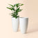 A set of two white tall pots with speckles, made of recyclable plastic and stone powders.