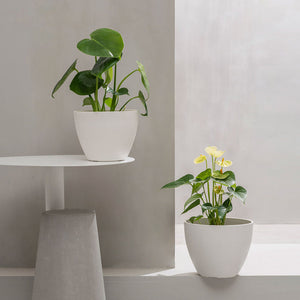 The set of two white planters is placed in a gray space. The big pot is stood on a white coffee table and the small one is placed on the ground.