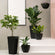 Five black planters in different shapes and sizes are displayed in a staggered position, including two tall planters.