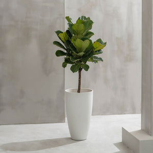 A large tall planter is displayed in a gray space, potted with a small tree.