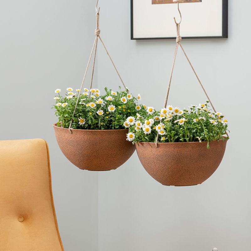 Two terracotta pots are hung above a yellow sofa, potted with white flowers.