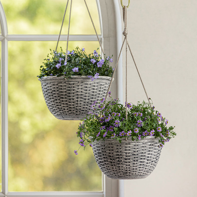 Two planters with flowers potted are displayed in front of a window and hanging to the ceiling.