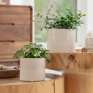 A set of two pots with plants in it is placed on the wooden tables, in front of a dark wood cabinet.
