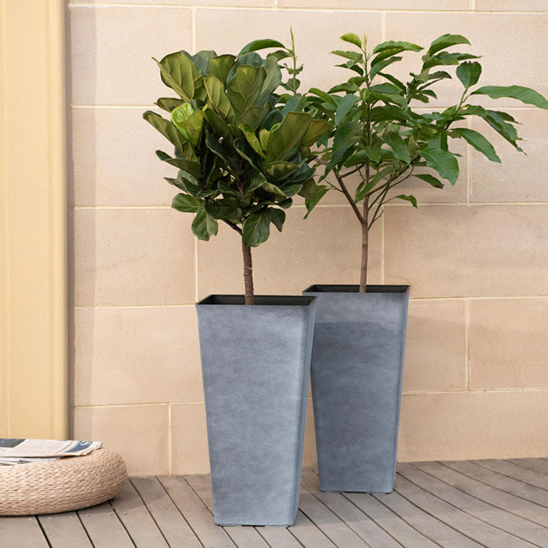 Two small plants are planted in the gray planter, in front of a tile wall.