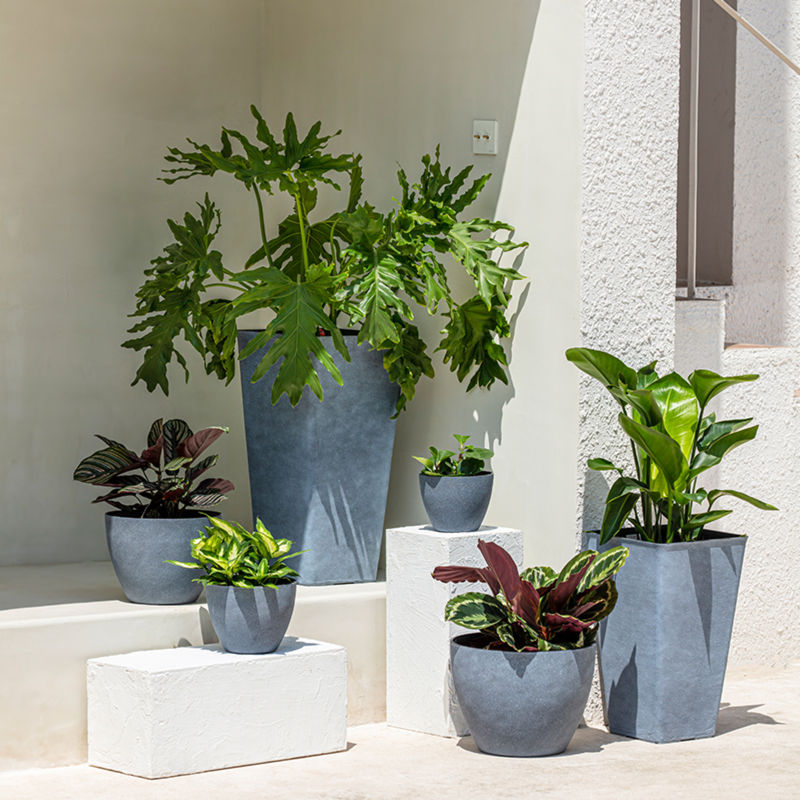 A series of six weathered gray planters in different shapes and dimensions are displayed at the corner of white walls. 