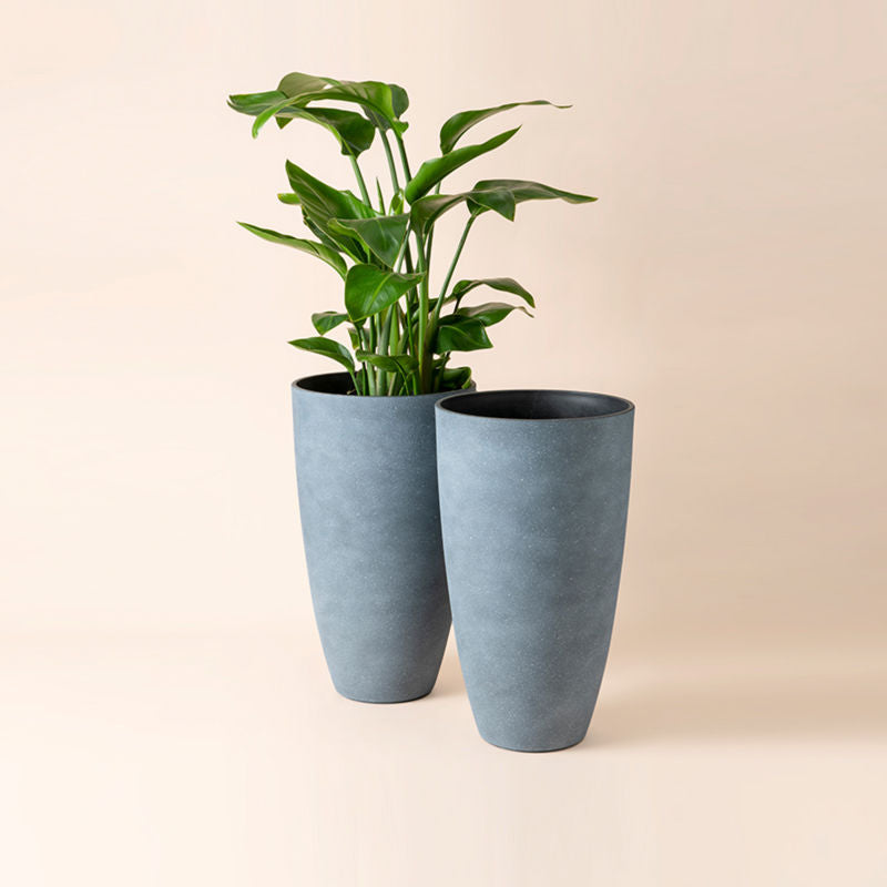 https://lajoliemuse.com/cdn/shop/products/Weathered-Gray-Tall-Planters-Two.jpg?v=1643161429