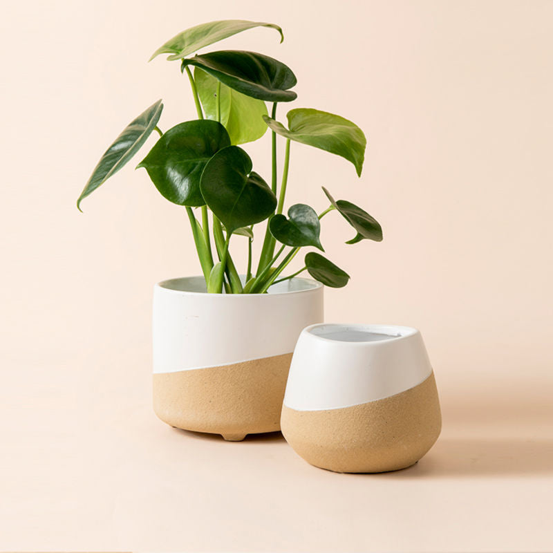 A set of two white and sandy beige pots in different shapes, made of premium clay.