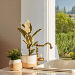 Two white and beige pots are placed on a marble washbasin, potted with green plants.