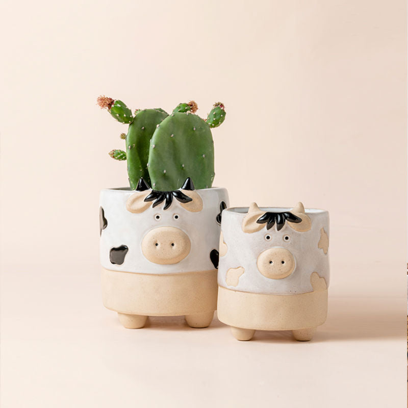 A pair of cute cow pots for succulent plants, made of premium ceramic and fully glazed.