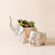 A set of two white elephant-shaped small planters, one of which holds succulents plants.