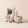 A set of two white goat pots for succulent plants , made of premium ceramic and fully glazed.