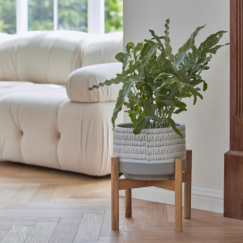 The pot with plants in it is placed in front of a sofa in the living room.