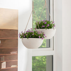 Purple daisies are planted in the white pots and hanging on the wall for viewing. Planters are placed in a corner of the living room in front of a window.