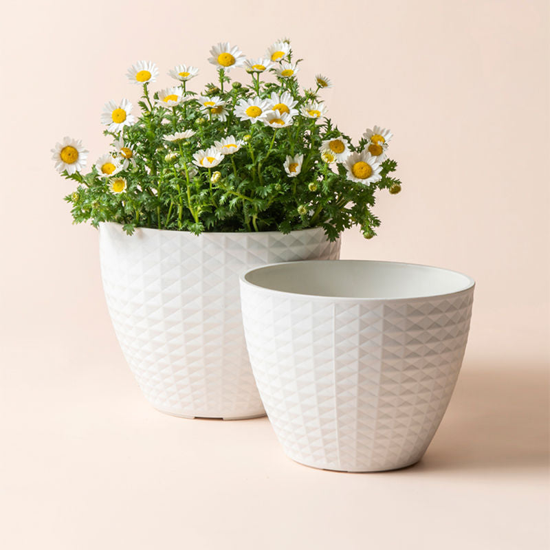 White daisies are planted in the large white pot. The empty small pot with a cube pattern design stands next to it.
