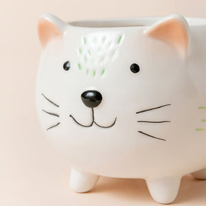 The close-up of the cute cat-shaped planter, showing its ceramic feature and has a round open top.