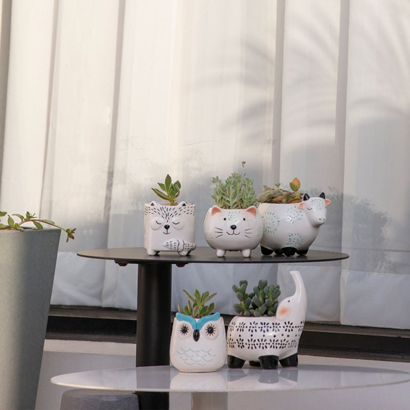 Five animal-shaped planters with succulents are placed on a side table. Three of the pots are placed on the top floor and others are placed on the second. 