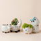 A set of five small planters are displayed in a staggered way. All planters are made of premium ceramic and in different animal shapes.