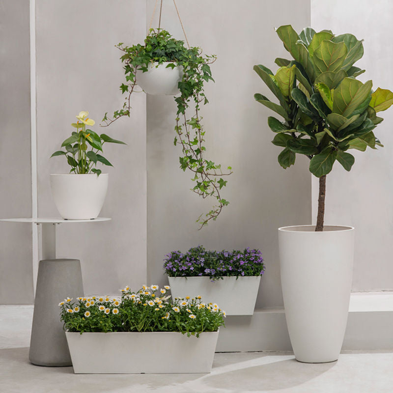 A series of five white planters in different shapes and sizes are displayed against a gray wall, including a tall pot.