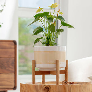 A yellow beige ceramic pot with stand is displayed in a bright room, planting a bunch of greens.
