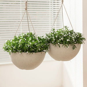Two yellow hanging planters are displayed in front of blinds, both potted with white flowers.