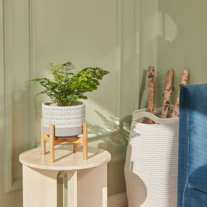 A round slate blue planter with a green plant is displayed on a small coffee table, in front of a light green wall.