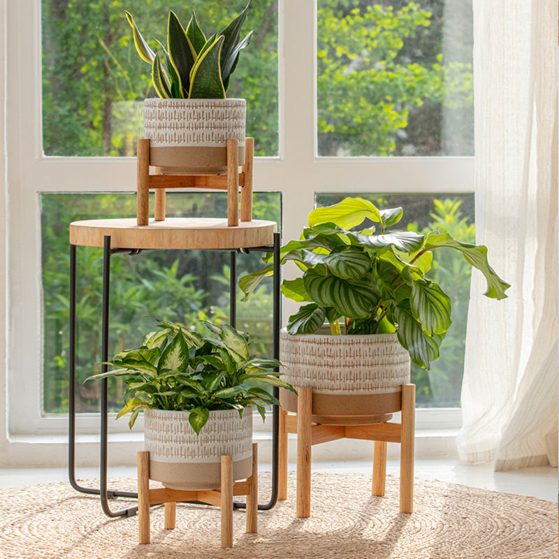 Three zen light beige planters in different sizes are displayed in a bright room, all potted with lush green plants.