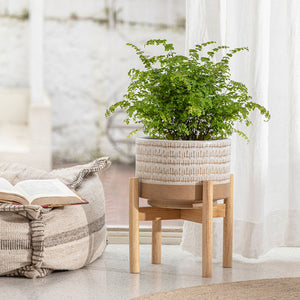 Plants are potted in the beige planter with a wooden stand at the bottom. The planter is placed next to a cushion.